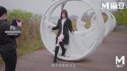 预览图1