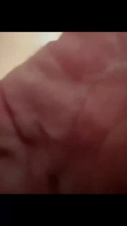 预览图8