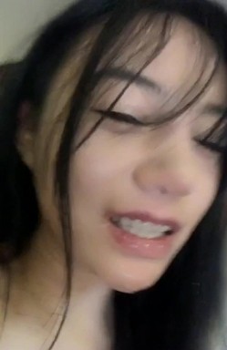 预览图4
