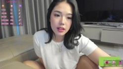 预览图13