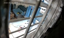 预览图1