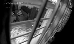 预览图16