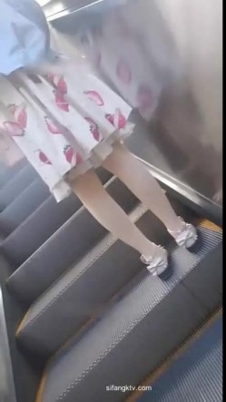 预览图4
