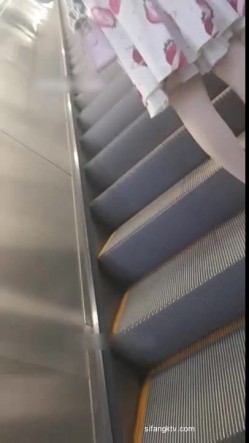 预览图5