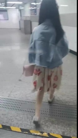 预览图12
