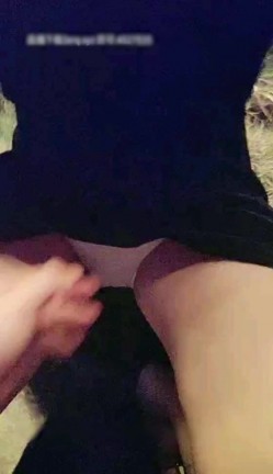 预览图4