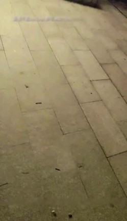 预览图6
