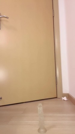 预览图4
