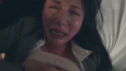 预览图5