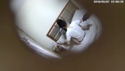 预览图14