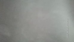 预览图5