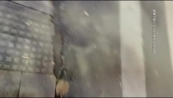 预览图8
