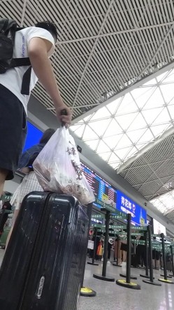预览图3