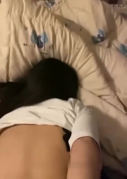 预览图15