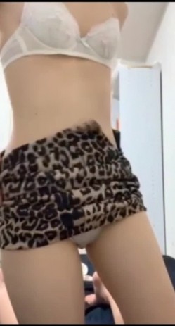 预览图13