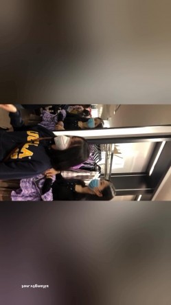 预览图12