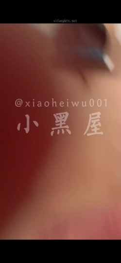 预览图8