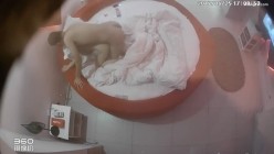 预览图7