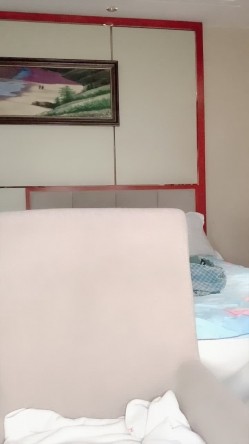 预览图14