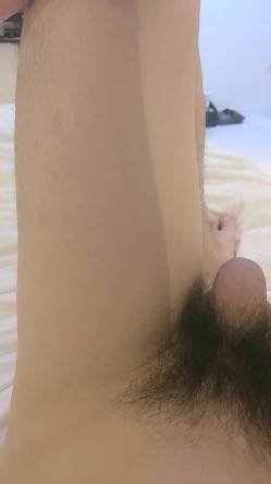 预览图16