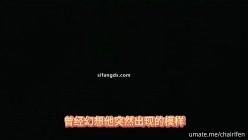 预览图14