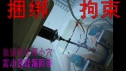 预览图11