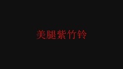 预览图16