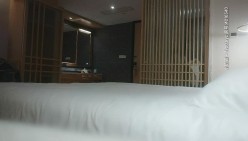 预览图4