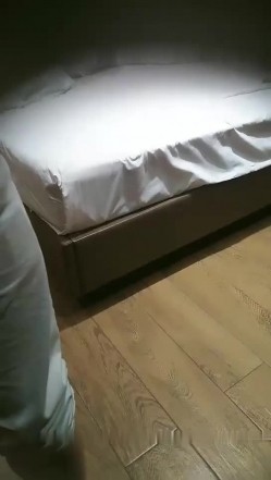 预览图5
