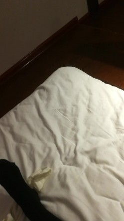 预览图8