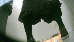 预览图5