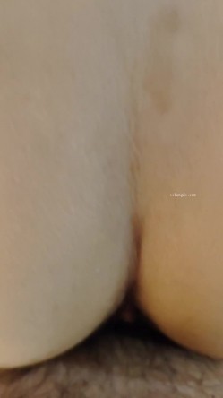 预览图8