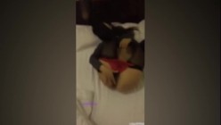 预览图6