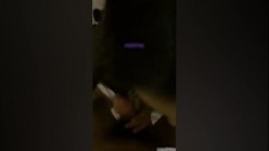 预览图16