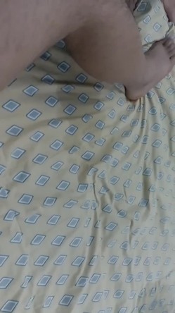预览图4