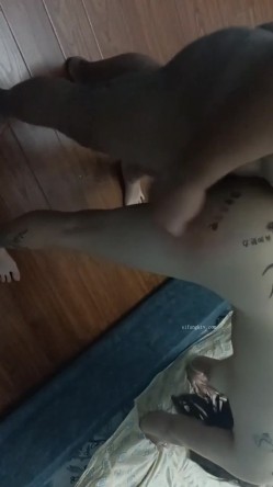 预览图12