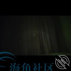 预览图4