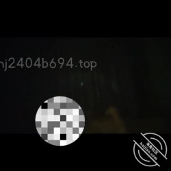 预览图6
