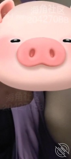 预览图4
