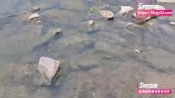 预览图6