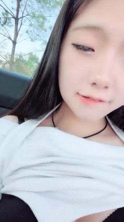 预览图13