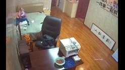 预览图13