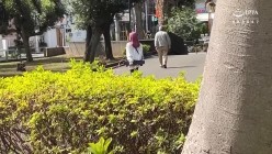 预览图2