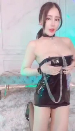 预览图4