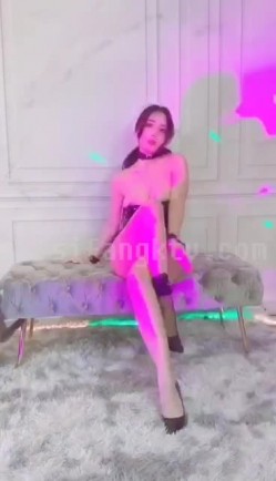 预览图16