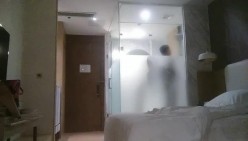 预览图3