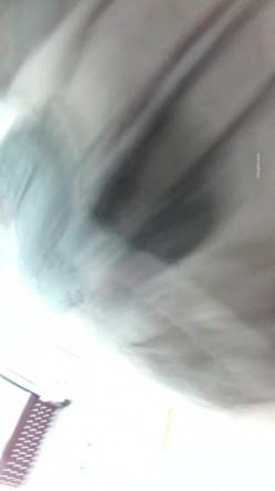 预览图5