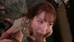预览图4