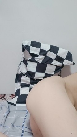 预览图3