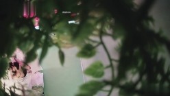 预览图5